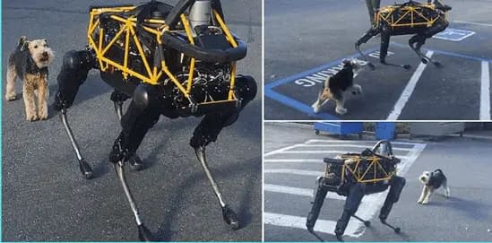 Google's robot dog Spot